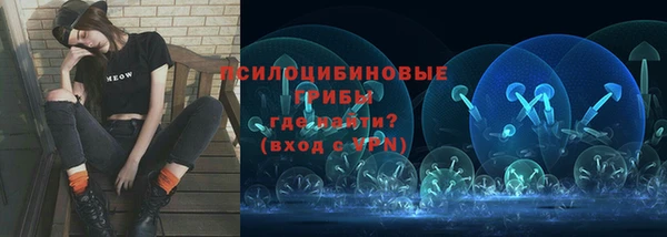 apvp Магадан