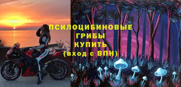 apvp Магадан