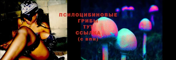 сатива Майский