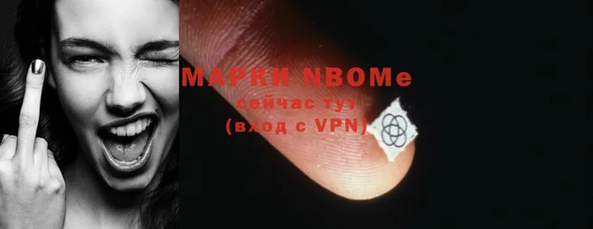 apvp Магадан