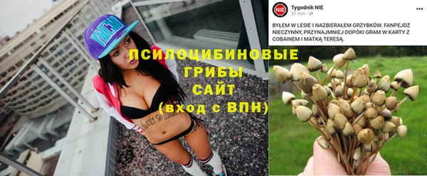 apvp Магадан