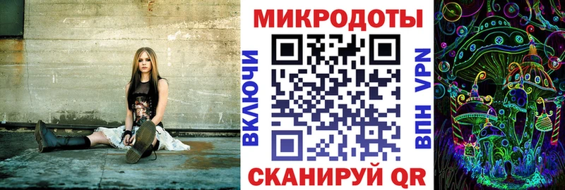 MEGA сайт  сколько стоит  Почеп  Псилоцибиновые грибы Psilocybe 